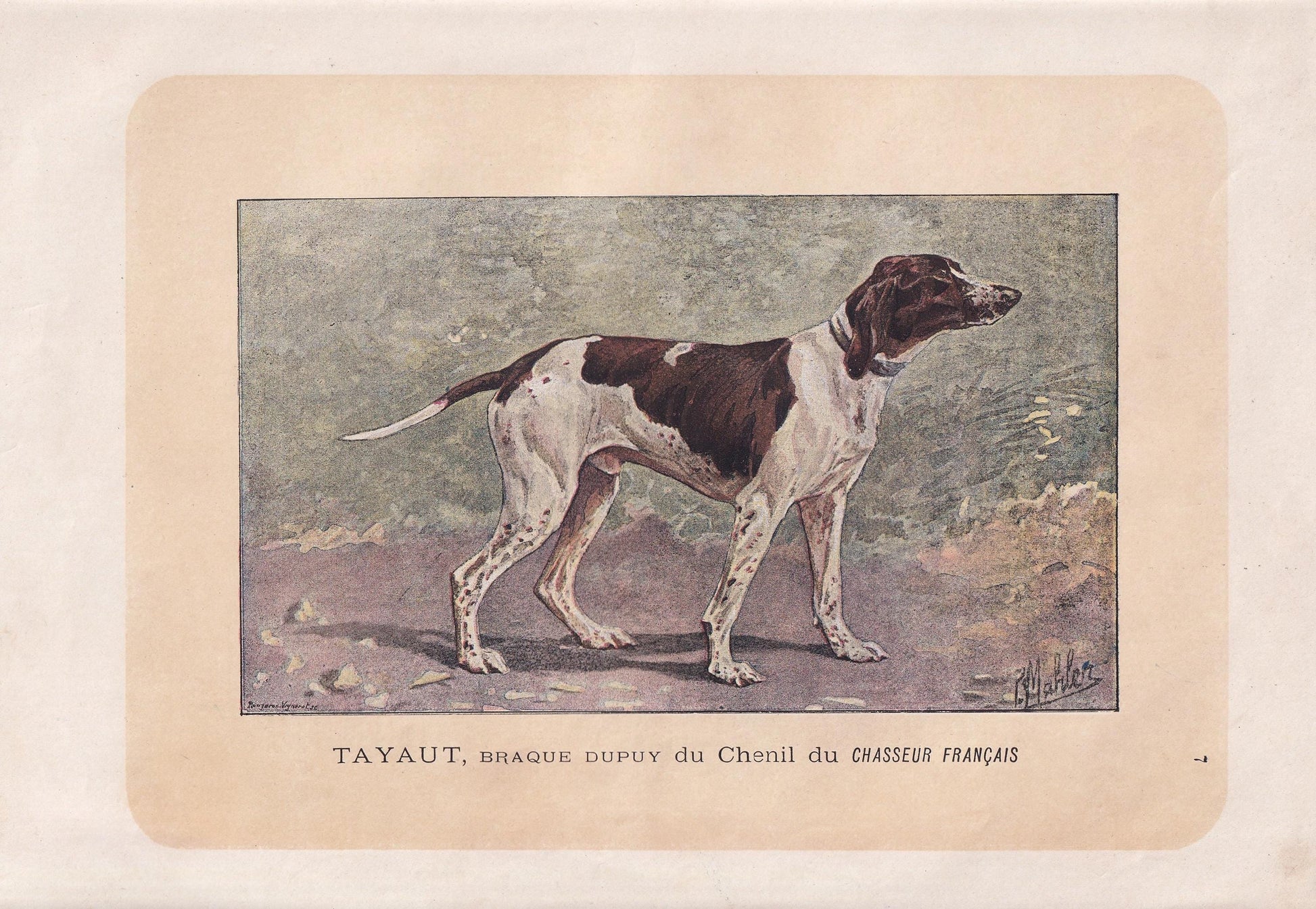 1896 DUPOY POINTER DOG Print - Original Antique Hunting Dog Print - Dog Wall Art Gift - Animal Art - Dog Lover - 10 x 7 Inches