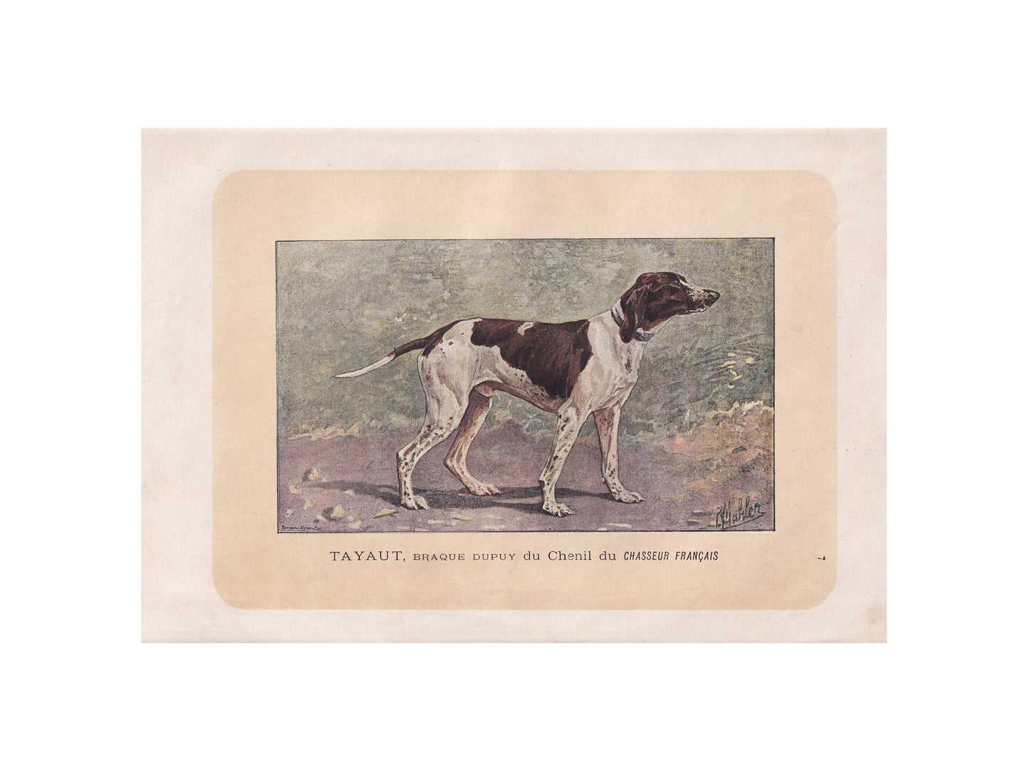 1896 DUPOY POINTER DOG Print - Original Antique Hunting Dog Print - Dog Wall Art Gift - Animal Art - Dog Lover - 10 x 7 Inches