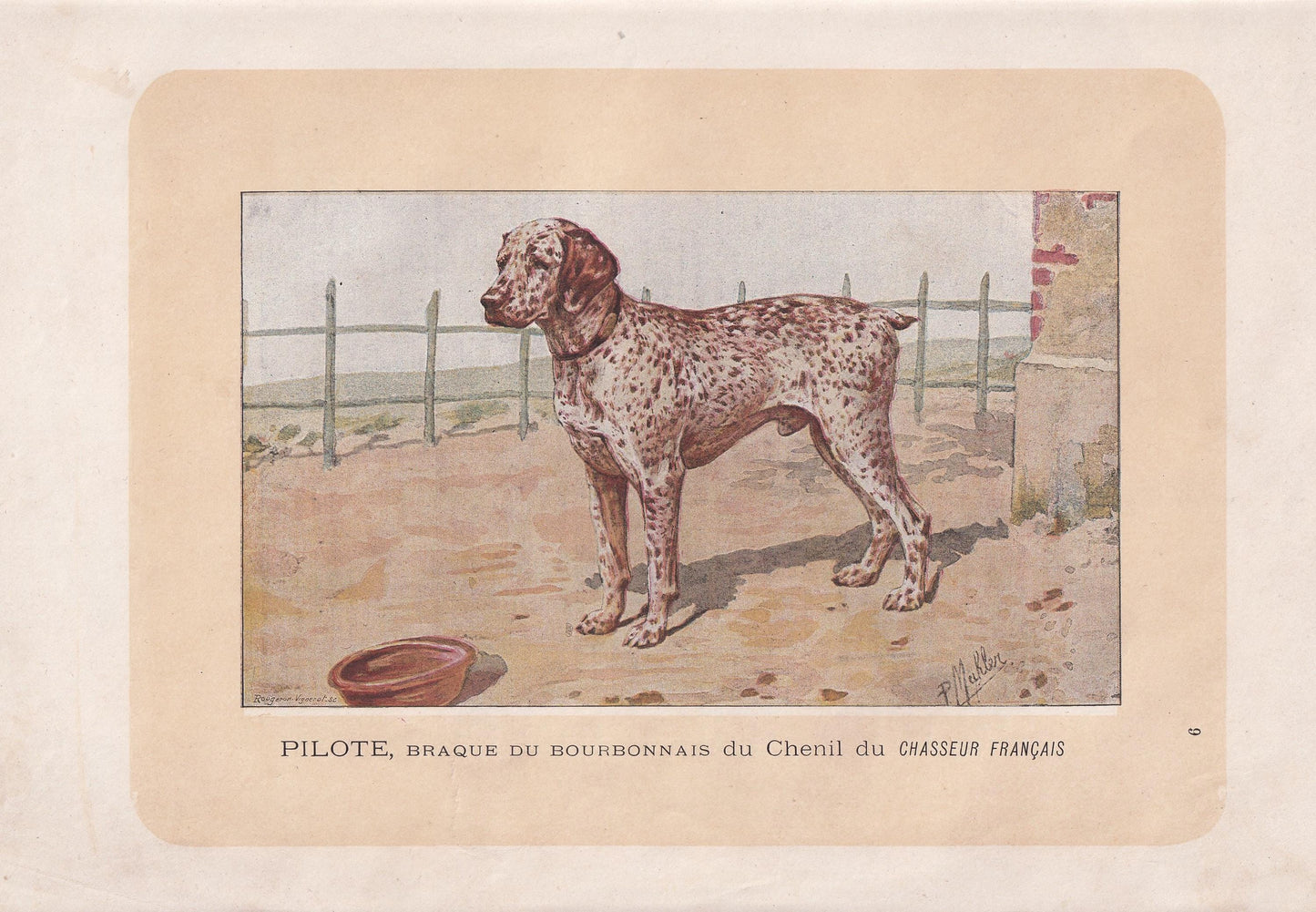 1896 BOURBONNAIS POINTER DOG Print - Original Antique Hunting Dog Print - Dog Wall Art Gift - Animal Art - Dog Lover - 10 x 7 Inches