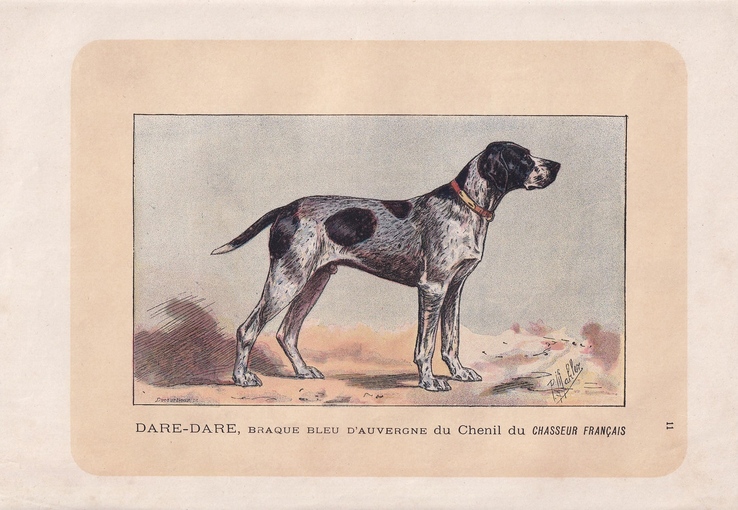 1896 AUVERGNE POINTER DOG Print - Original Antique Hunting Dog Print - Dog Wall Art Gift - Animal Art - Dog Lover - 10 x 7 Inches