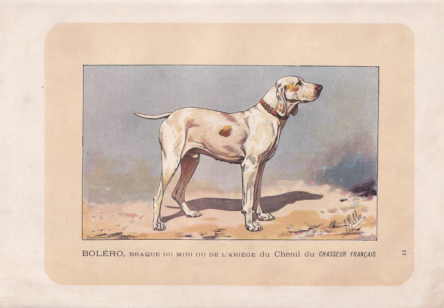 1896 ARIEGE POINTER DOG Print - Original Antique Hunting Dog Print - Dog Wall Art Gift - Animal Art - Dog Lover - 10 x 7 Inches