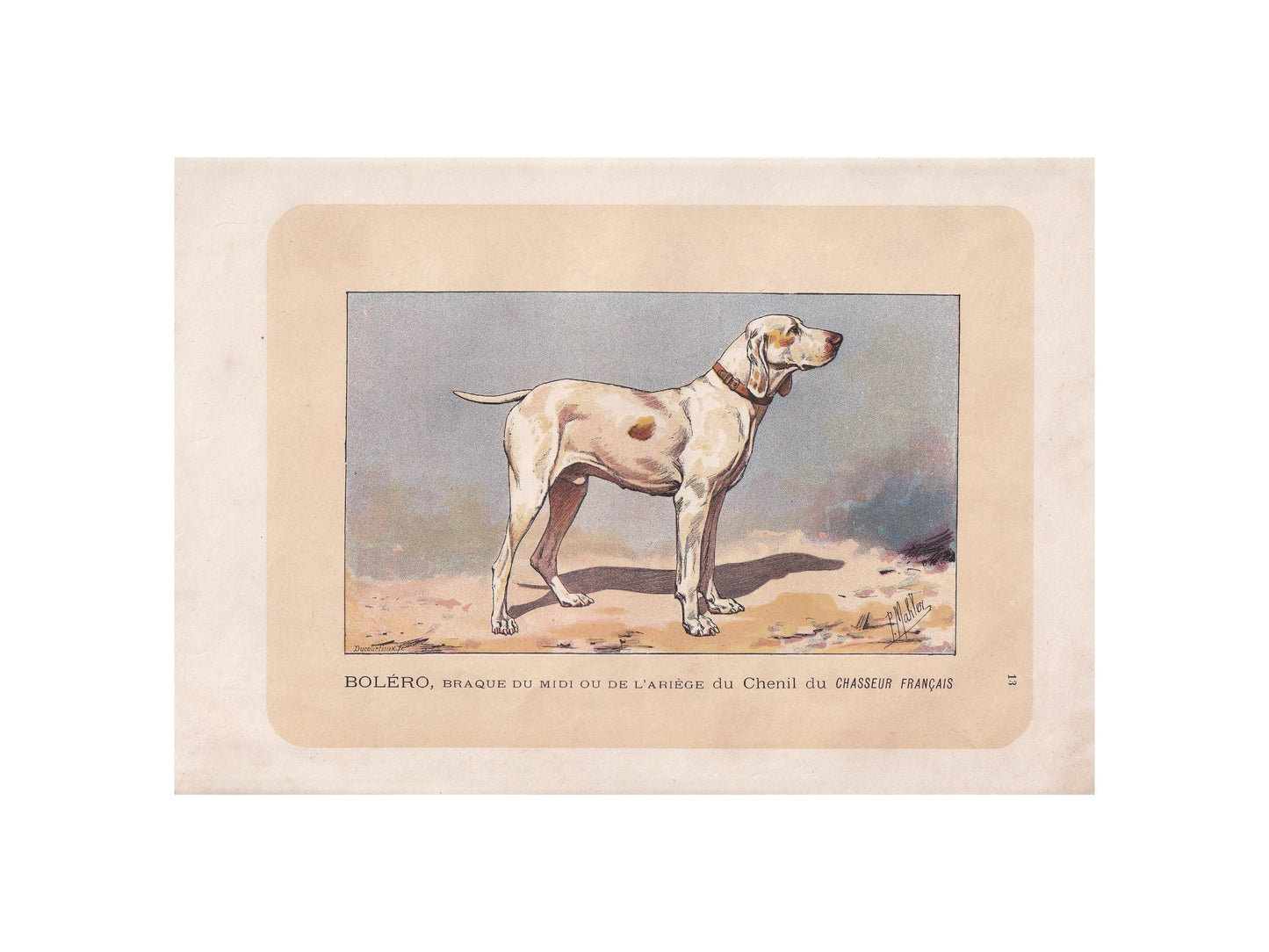 1896 ARIEGE POINTER DOG Print - Original Antique Hunting Dog Print - Dog Wall Art Gift - Animal Art - Dog Lover - 10 x 7 Inches