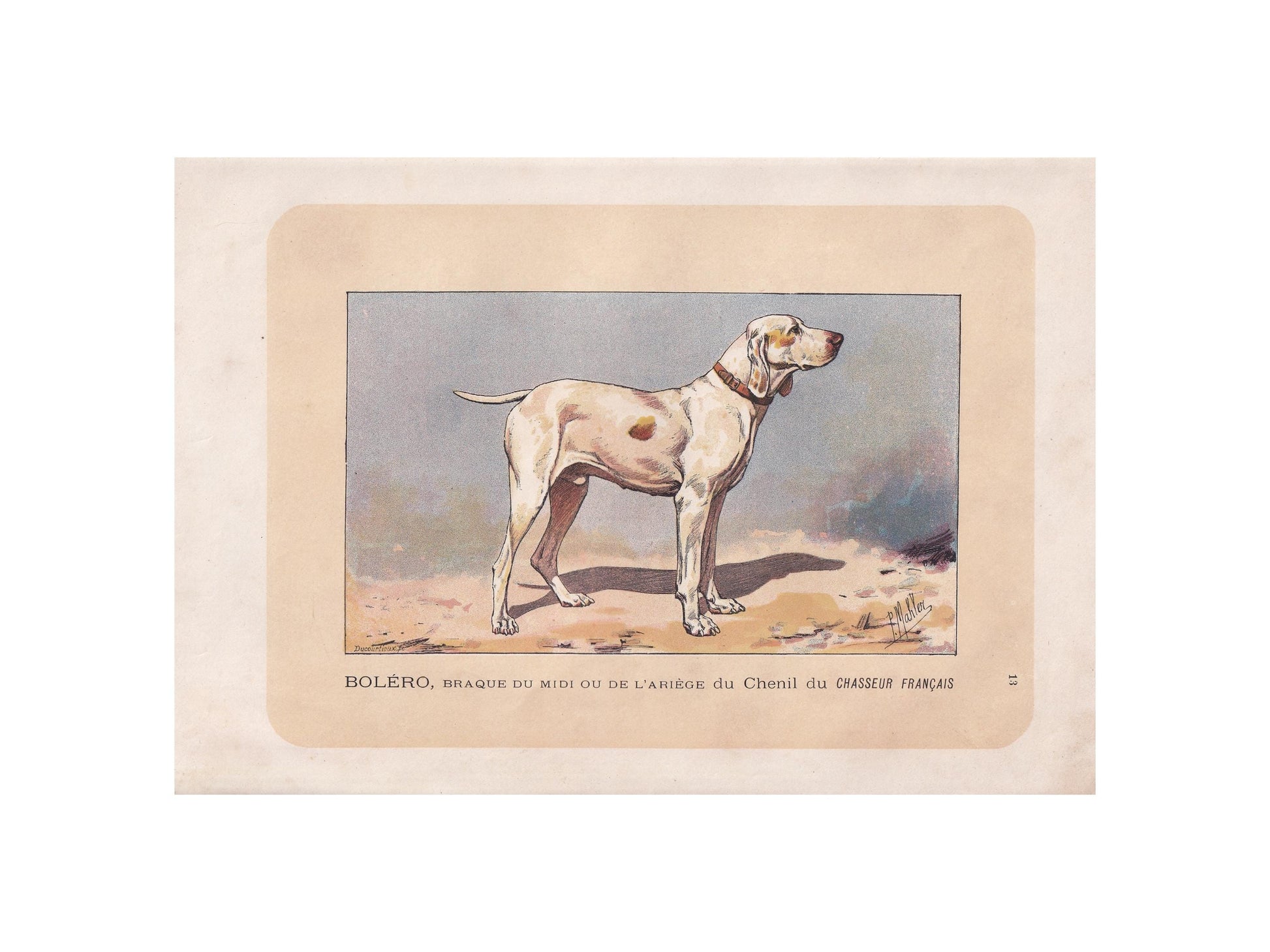 1896 ARIEGE POINTER DOG Print - Original Antique Hunting Dog Print - Dog Wall Art Gift - Animal Art - Dog Lover - 10 x 7 Inches