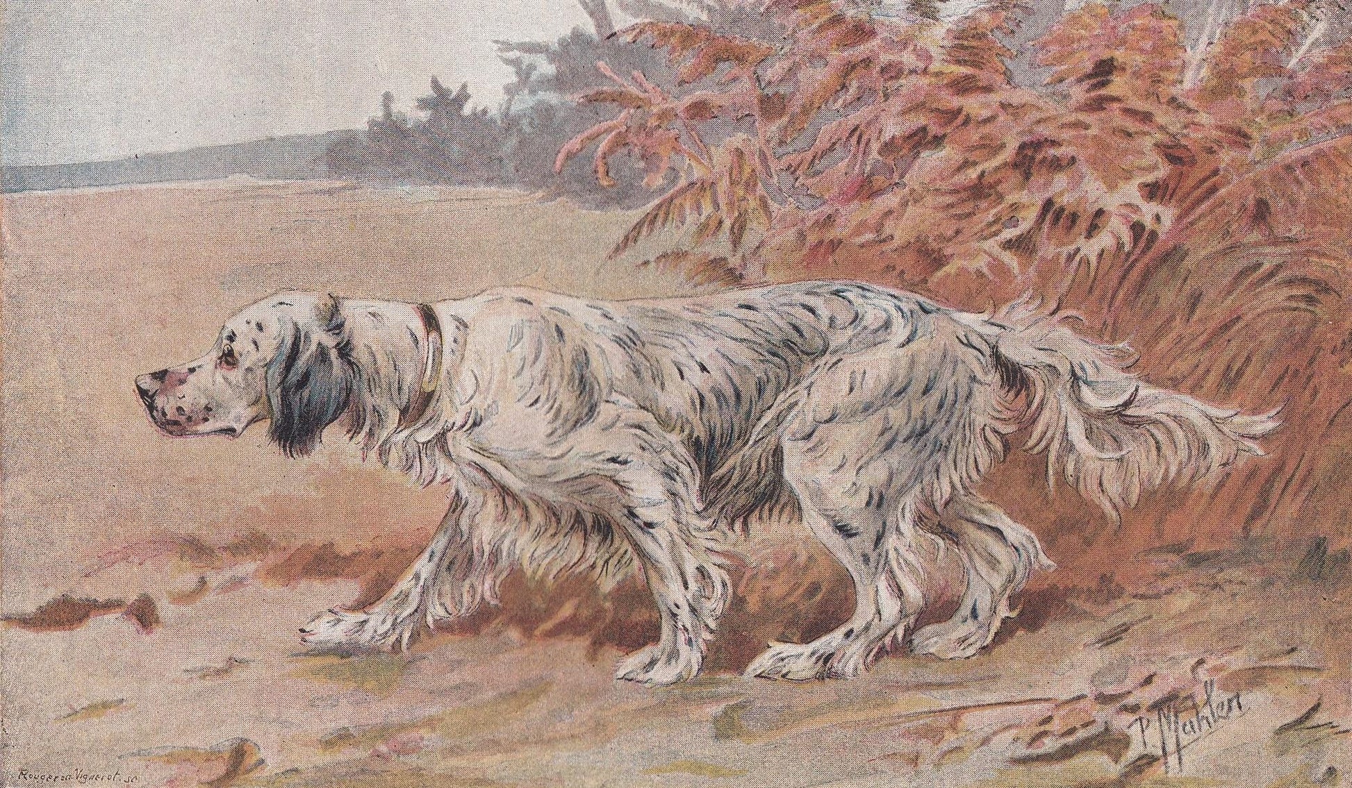 1896 ENGLISH SETTER DOG Print - Original Antique Hunting Dog Print - Dog Wall Art Gift - Animal Art - Dog Lover - 10 x 7 Inches