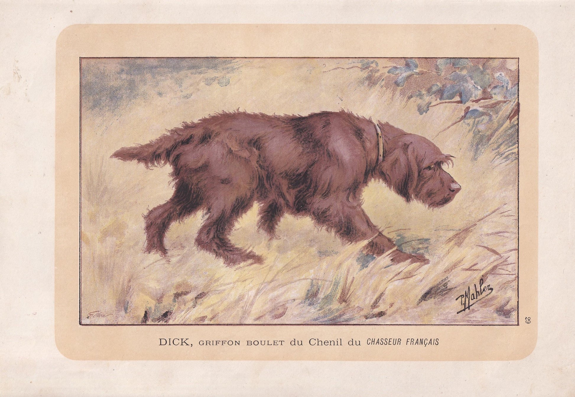 1896 GRIFFON BOULET DOG Print - Original Antique Hunting Dog Print - Dog Wall Art Gift - Animal Art - Dog Lover - 10 x 7 Inches