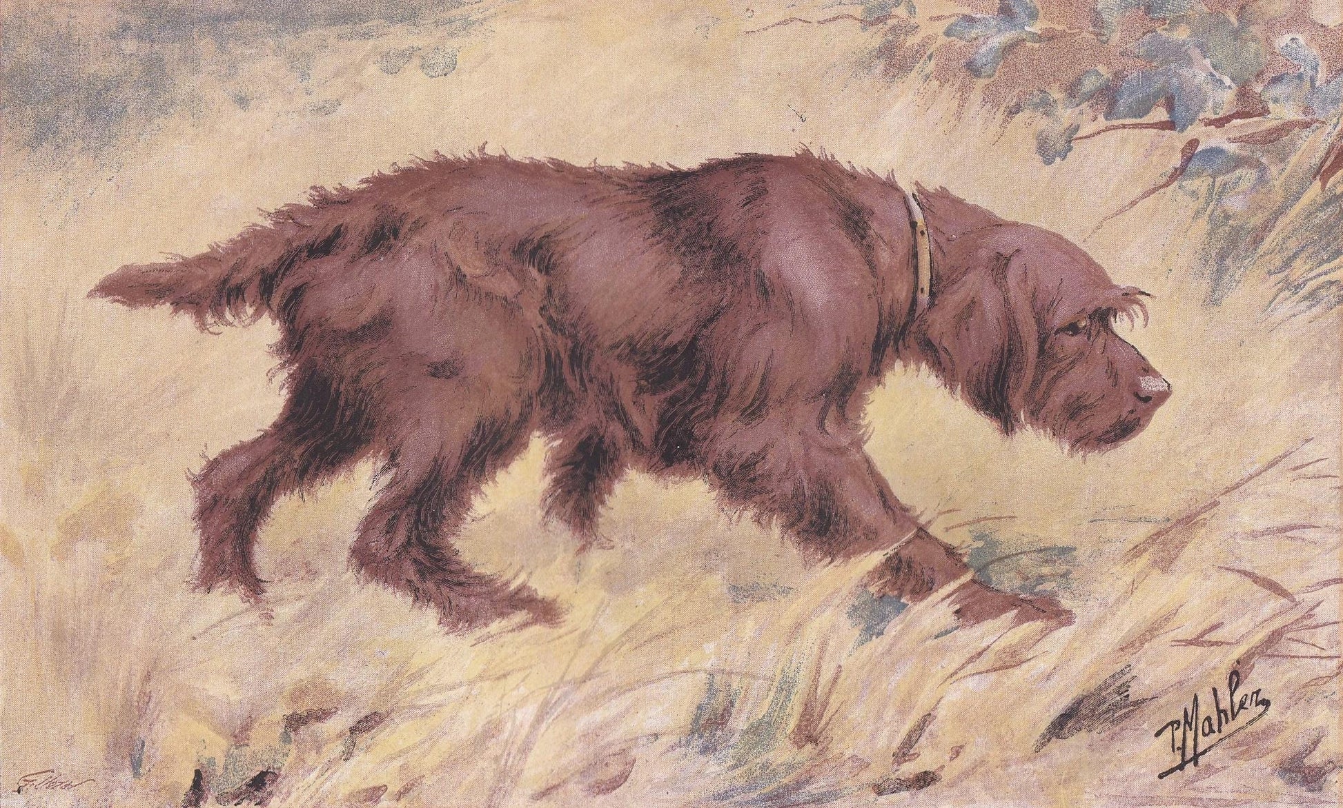 1896 GRIFFON BOULET DOG Print - Original Antique Hunting Dog Print - Dog Wall Art Gift - Animal Art - Dog Lover - 10 x 7 Inches