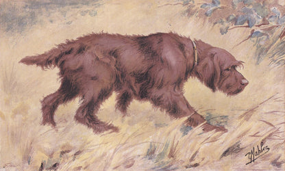 1896 GRIFFON BOULET DOG Print - Original Antique Hunting Dog Print - Dog Wall Art Gift - Animal Art - Dog Lover - 10 x 7 Inches