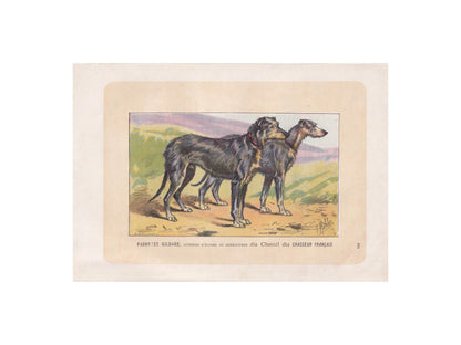 1896 SCOTTISH DEERHOUND DOG Print - Original Antique Hunting Dog Print - Dog Wall Art Gift - Animal Art - Dog Lover - 10 x 7 Inches