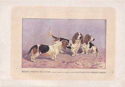 1896 BASSET DOG Print - Original Antique Hunting Dog Print - Dog Wall Art Gift - Animal Art - Dog Lover - 10 x 7 Inches