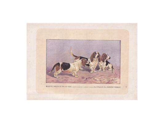 1896 BASSET DOG Print - Original Antique Hunting Dog Print - Dog Wall Art Gift - Animal Art - Dog Lover - 10 x 7 Inches
