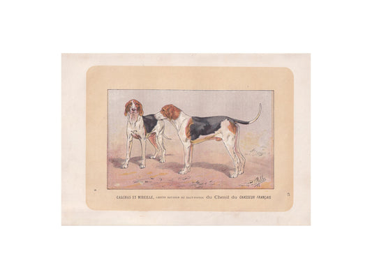 1896 POITEVIN HOUND DOG Print - Original Antique Hunting Dog Print - Dog Wall Art Gift - Animal Art - Dog Lover - 10 x 7 Inches