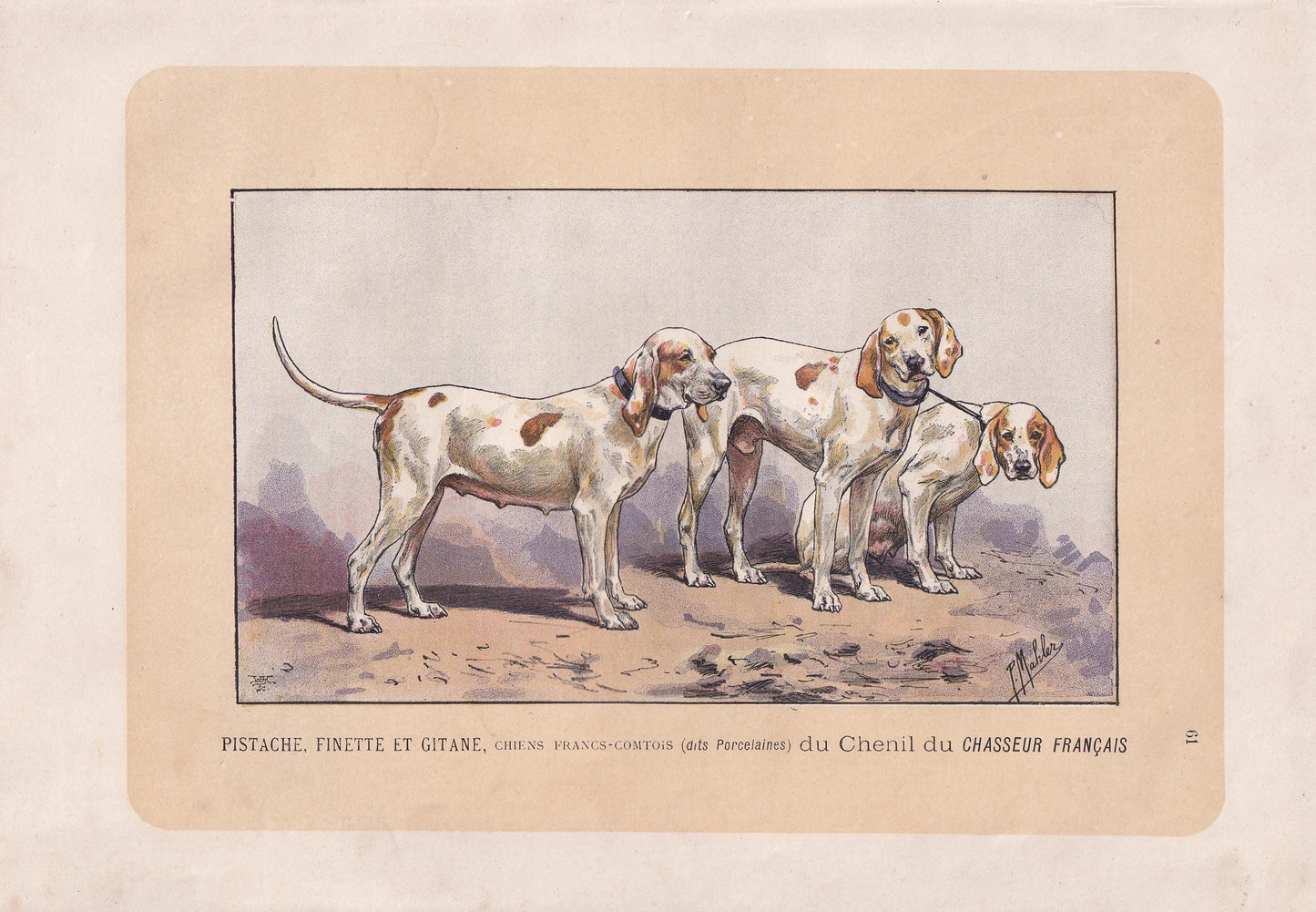 1896 PORCELAINE HOUND DOG Print - Original Antique Hunting Dog Print - Dog Wall Art Gift - Animal Art - Dog Lover - 10 x 7 Inches
