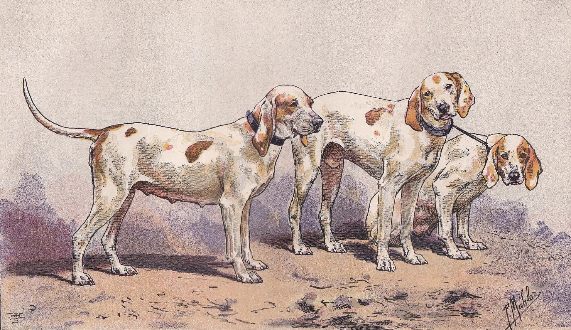1896 PORCELAINE HOUND DOG Print - Original Antique Hunting Dog Print - Dog Wall Art Gift - Animal Art - Dog Lover - 10 x 7 Inches