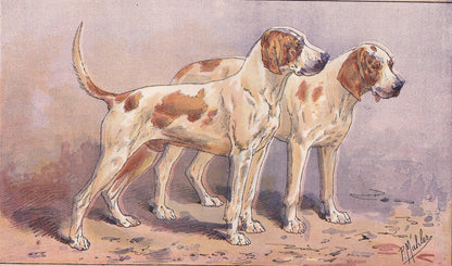 1896 SCENTHOUND DOG Print - Original Antique Hunting Dog Print - Dog Wall Art Gift - Animal Art - Dog Lover - 10 x 7 Inches