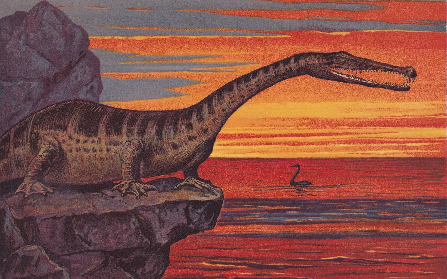 1902 NOTHOSAURUS MIRABILIS Print - Triassic Reptile - Paleoart - Prehistoric Animals Wall Art - Dinosaur - 10.5 x 7.5 Inches