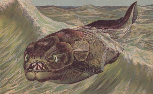 1902 DINICHTHYS Print - Placoderm Fish - Paleoart - Prehistoric Animals Wall Art - Antique Dinosaur - 10.5 x 7.5 Inches