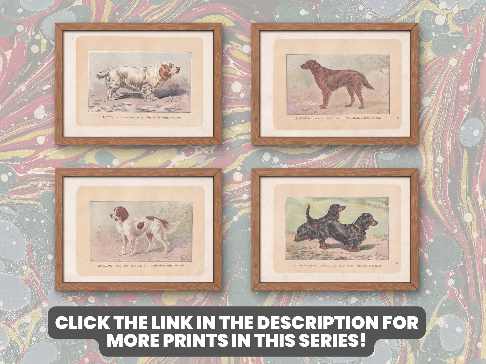 1896 AUVERGNE POINTER DOG Print - Original Antique Hunting Dog Print - Dog Wall Art Gift - Animal Art - Dog Lover - 10 x 7 Inches