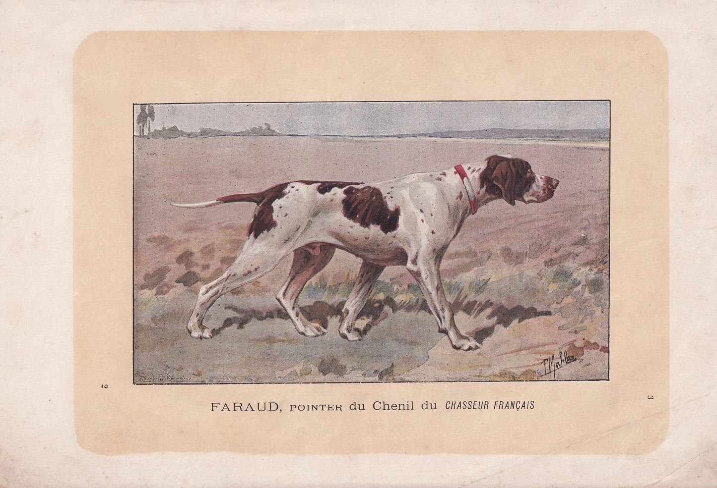 1896 ENGLISH POINTER DOG Print - Original Antique Hunting Dog Print - Dog Wall Art Gift - Animal Art - Dog Lover - 10 x 7 Inches