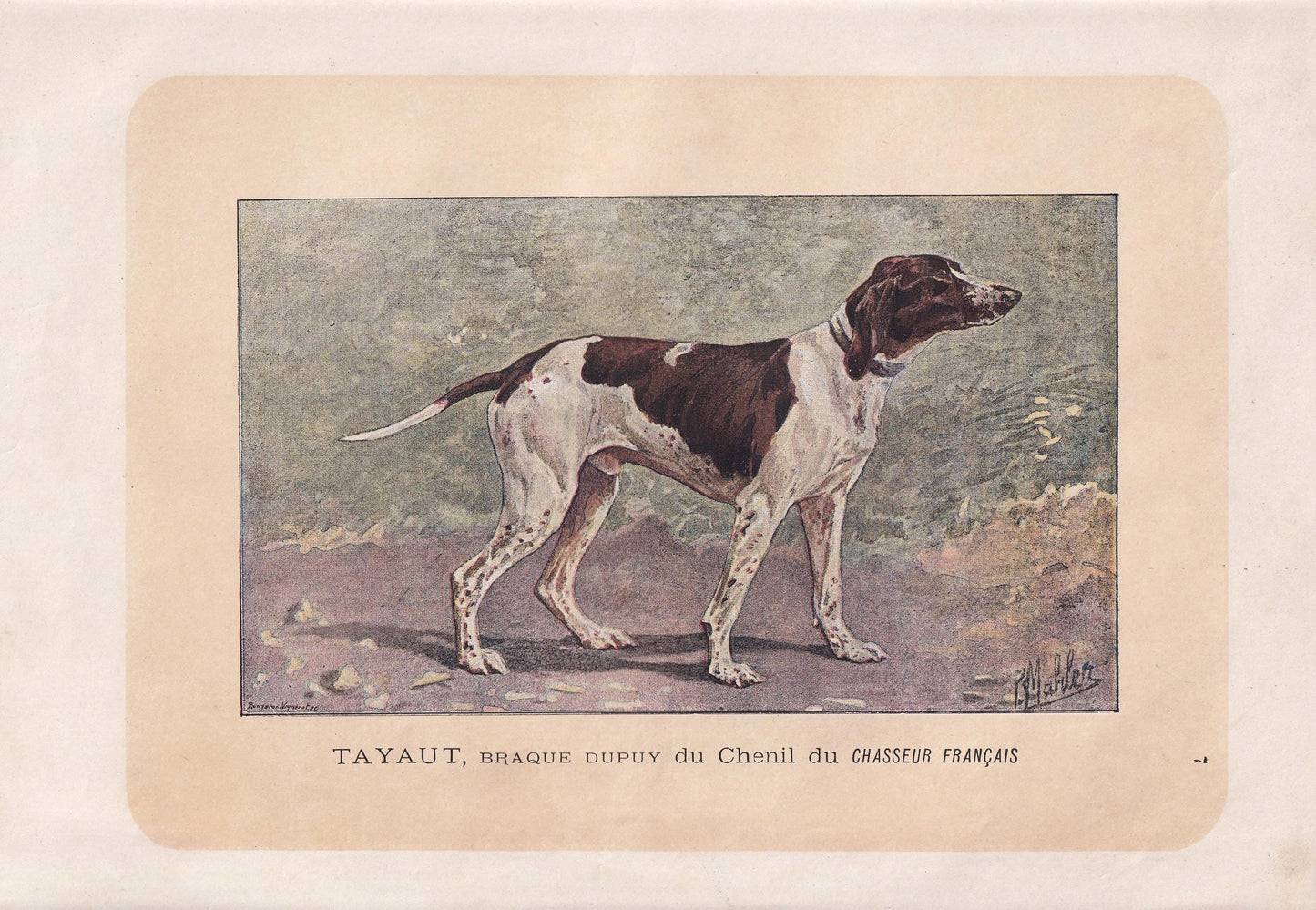 1896 DUPOY POINTER DOG Print - Original Antique Hunting Dog Print - Dog Wall Art Gift - Animal Art - Dog Lover - 10 x 7 Inches
