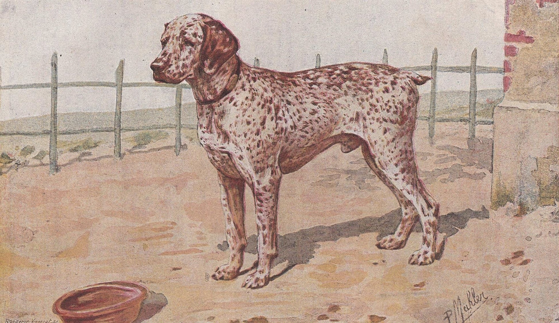 1896 BOURBONNAIS POINTER DOG Print - Original Antique Hunting Dog Print - Dog Wall Art Gift - Animal Art - Dog Lover - 10 x 7 Inches