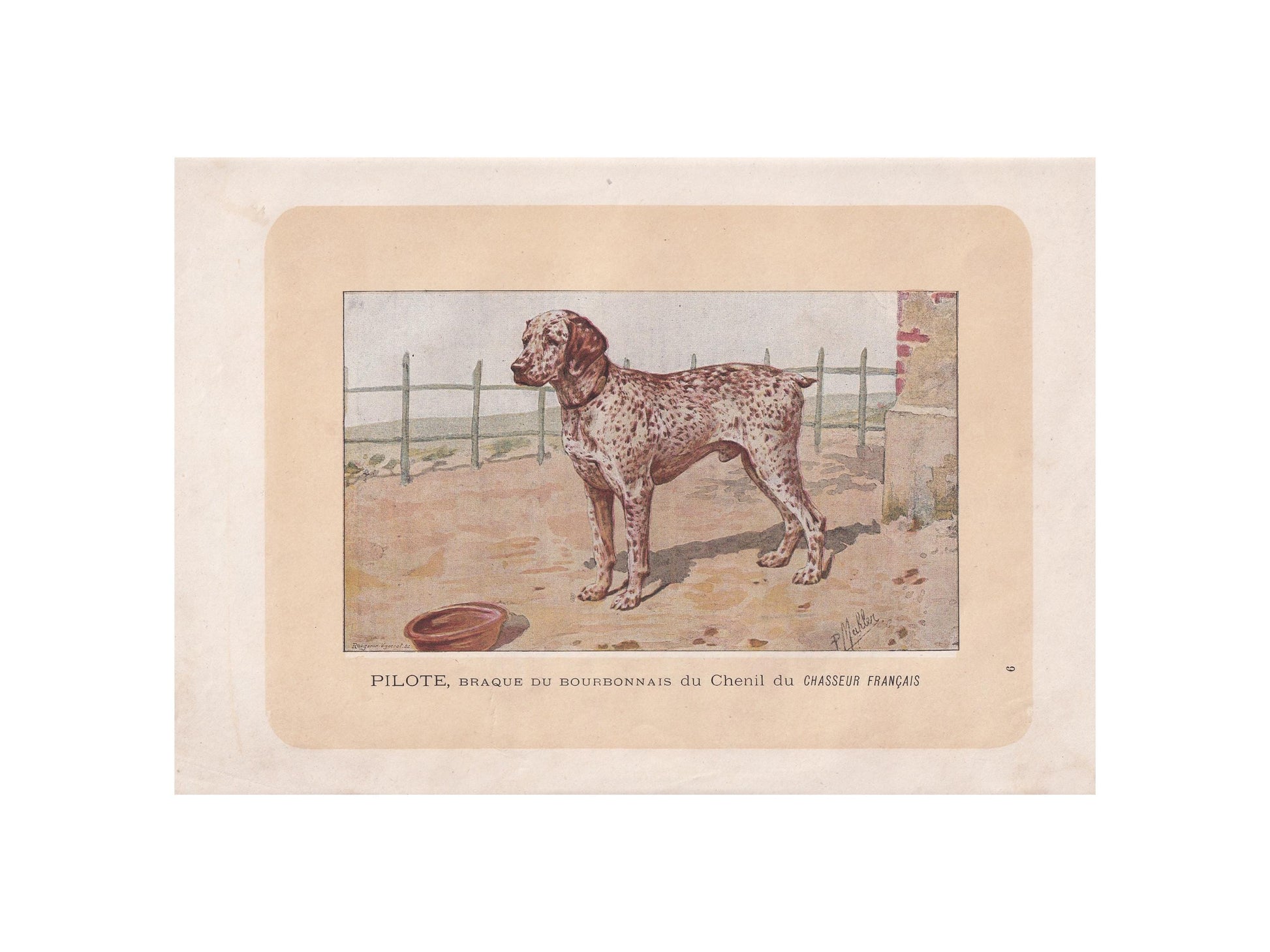 1896 BOURBONNAIS POINTER DOG Print - Original Antique Hunting Dog Print - Dog Wall Art Gift - Animal Art - Dog Lover - 10 x 7 Inches