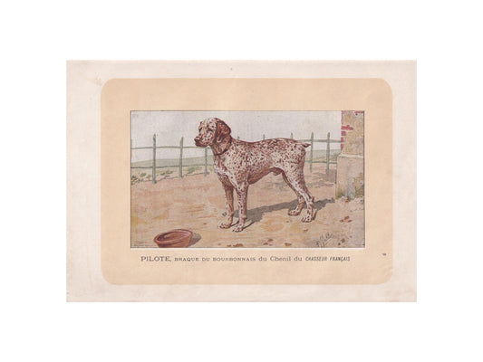1896 BOURBONNAIS POINTER DOG Print - Original Antique Hunting Dog Print - Dog Wall Art Gift - Animal Art - Dog Lover - 10 x 7 Inches