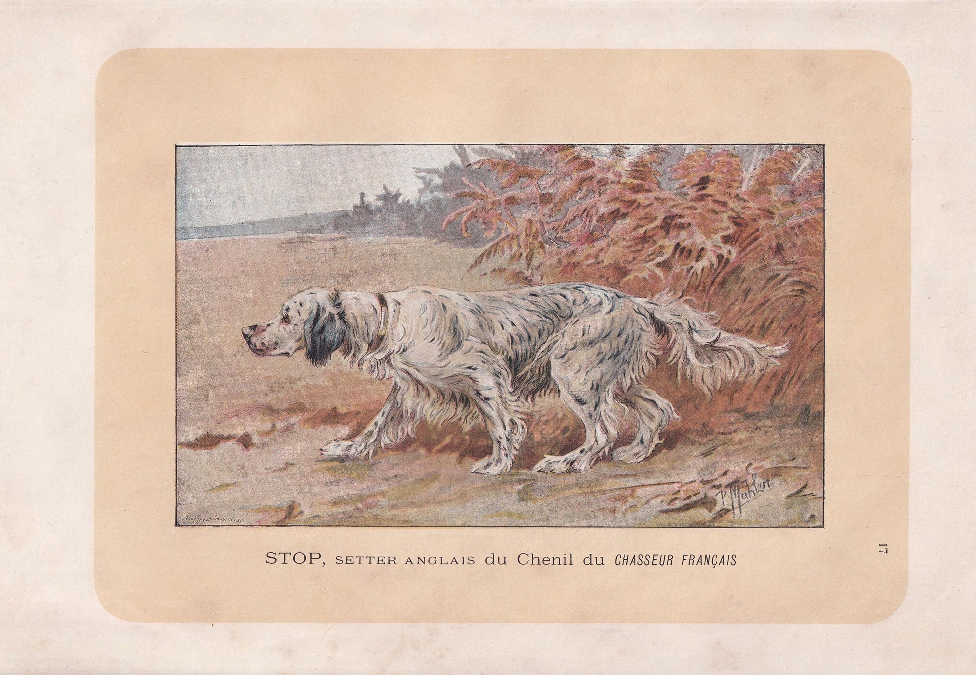 1896 ENGLISH SETTER DOG Print - Original Antique Hunting Dog Print - Dog Wall Art Gift - Animal Art - Dog Lover - 10 x 7 Inches