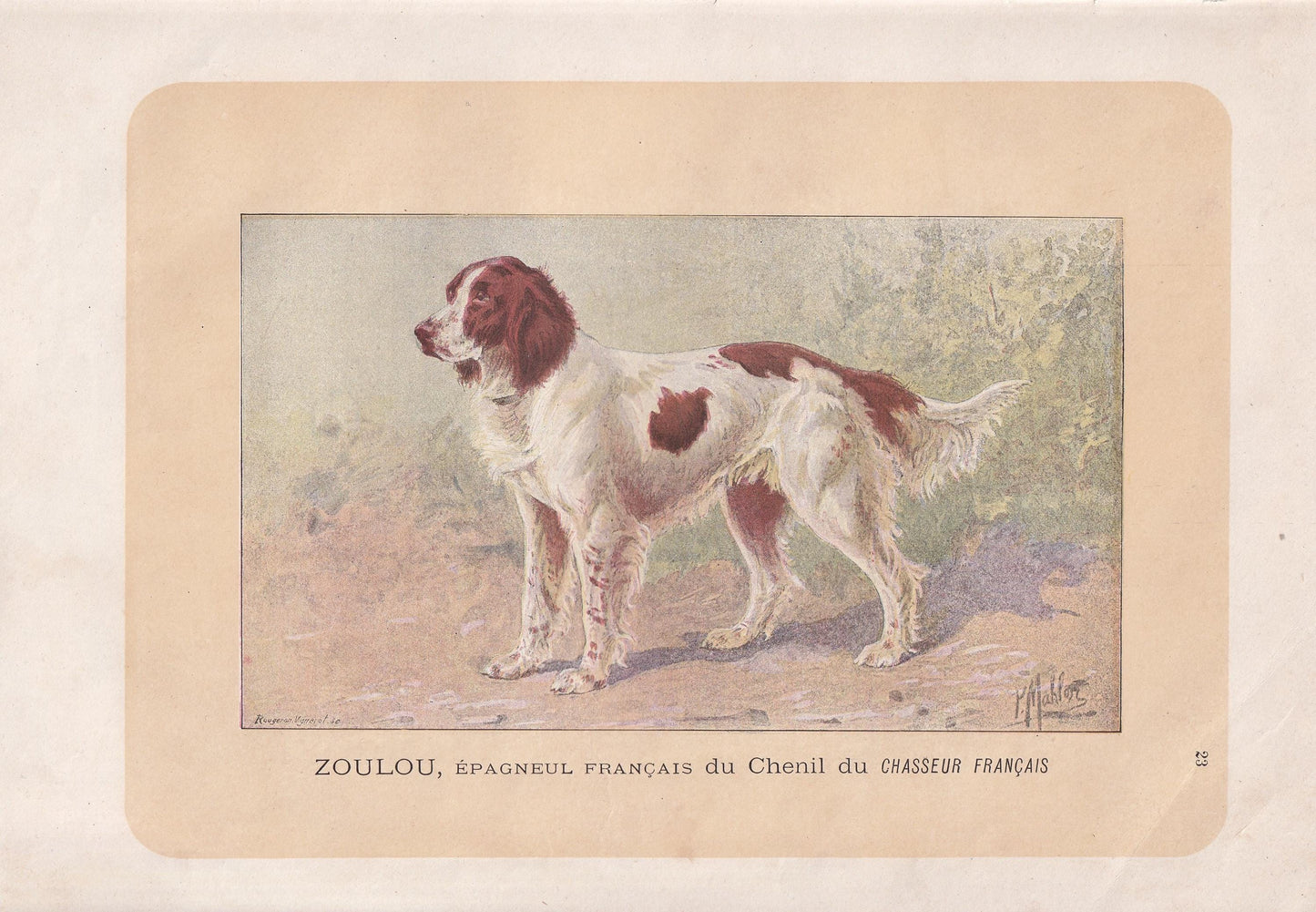 1896 FRENCH SPANIEL DOG Print - Original Antique Hunting Dog Print - Dog Wall Art Gift - Animal Art - Dog Lover - 10 x 7 Inches