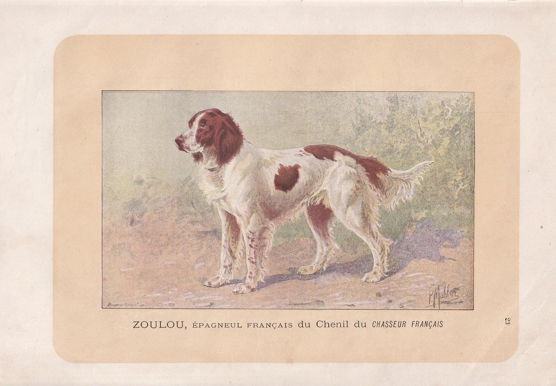 1896 FRENCH SPANIEL DOG Print - Original Antique Hunting Dog Print - Dog Wall Art Gift - Animal Art - Dog Lover - 10 x 7 Inches