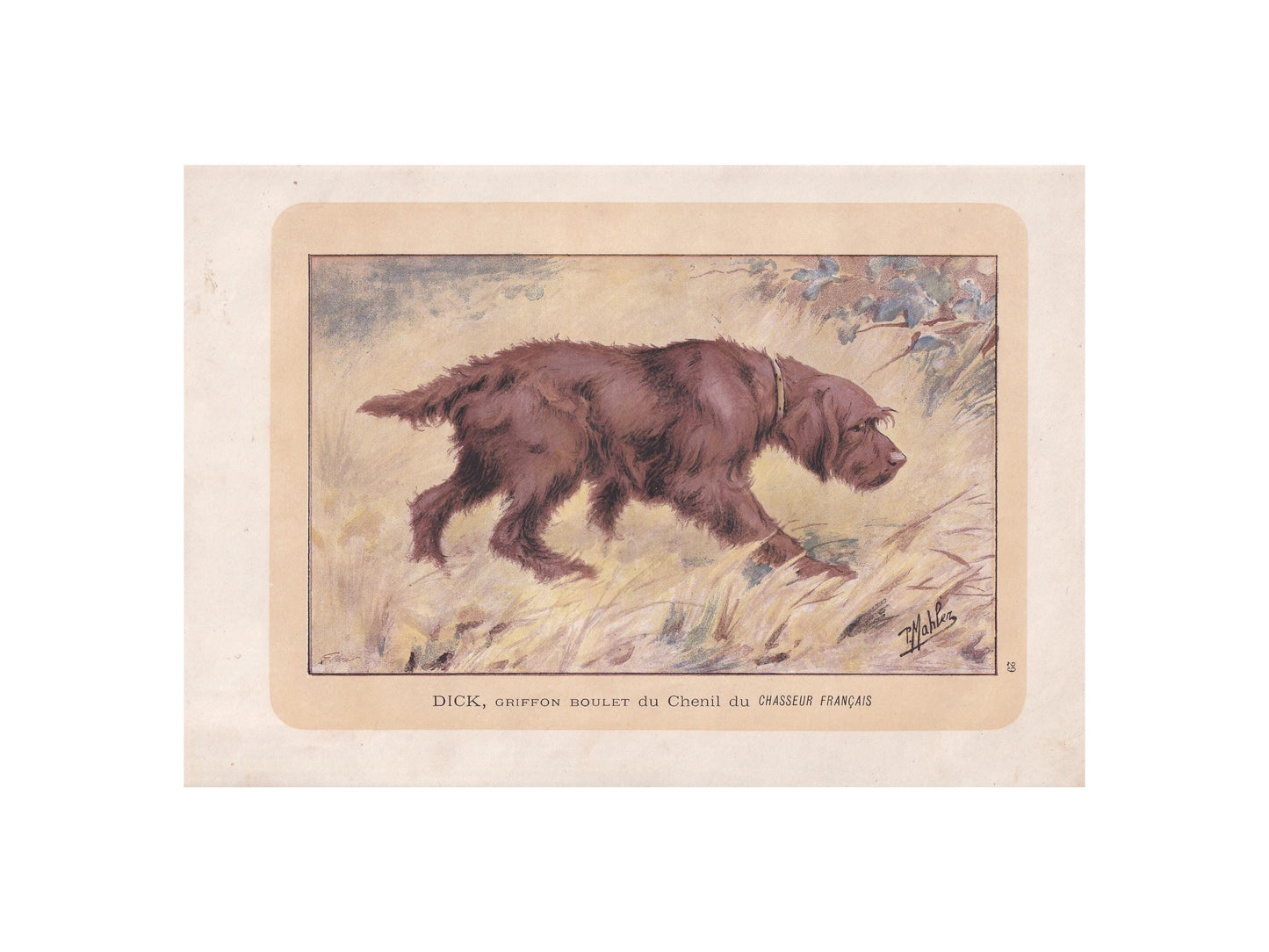 1896 GRIFFON BOULET DOG Print - Original Antique Hunting Dog Print - Dog Wall Art Gift - Animal Art - Dog Lover - 10 x 7 Inches