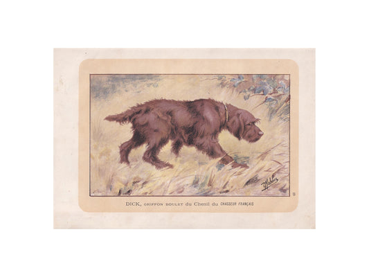 1896 GRIFFON BOULET DOG Print - Original Antique Hunting Dog Print - Dog Wall Art Gift - Animal Art - Dog Lover - 10 x 7 Inches