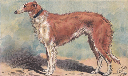 1896 BORZOI DOG Print - Original Antique Hunting Dog Print - Dog Wall Art Gift - Animal Art - Dog Lover - 10 x 7 Inches
