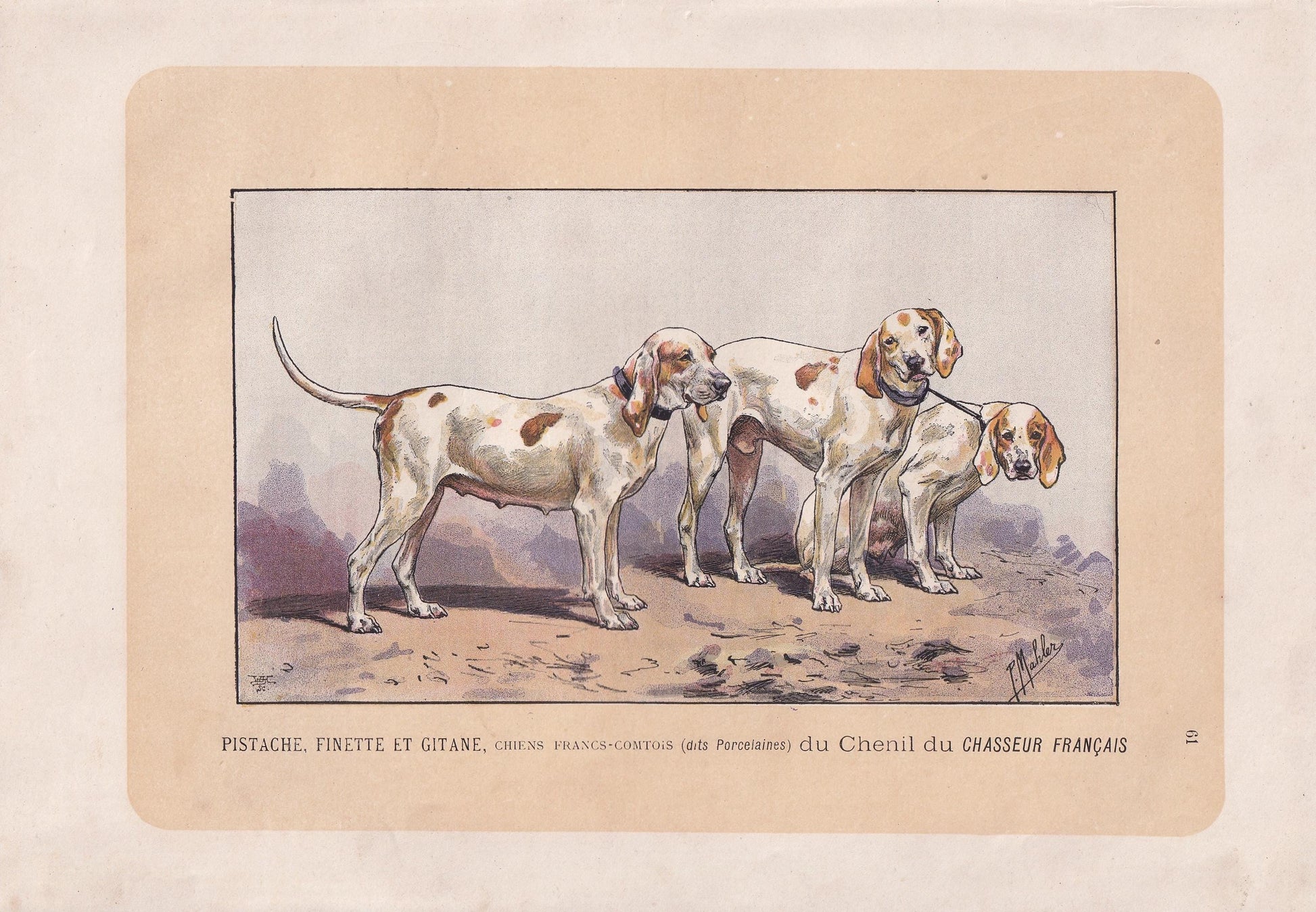1896 PORCELAINE HOUND DOG Print - Original Antique Hunting Dog Print - Dog Wall Art Gift - Animal Art - Dog Lover - 10 x 7 Inches