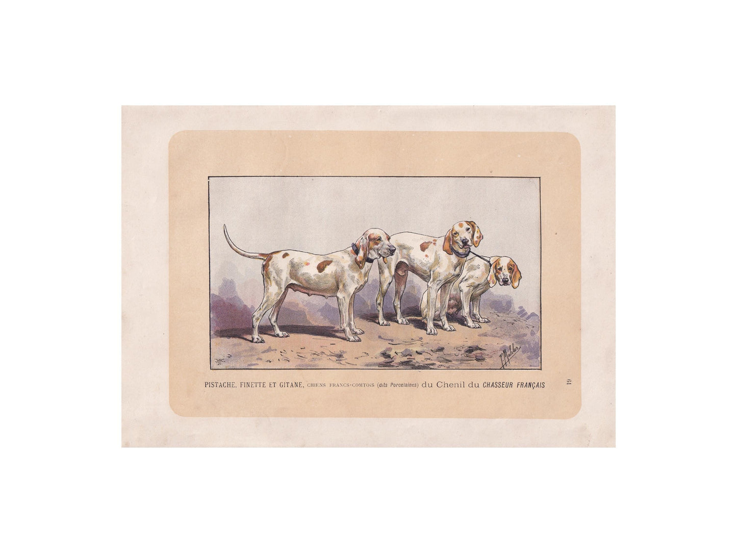 1896 PORCELAINE HOUND DOG Print - Original Antique Hunting Dog Print - Dog Wall Art Gift - Animal Art - Dog Lover - 10 x 7 Inches