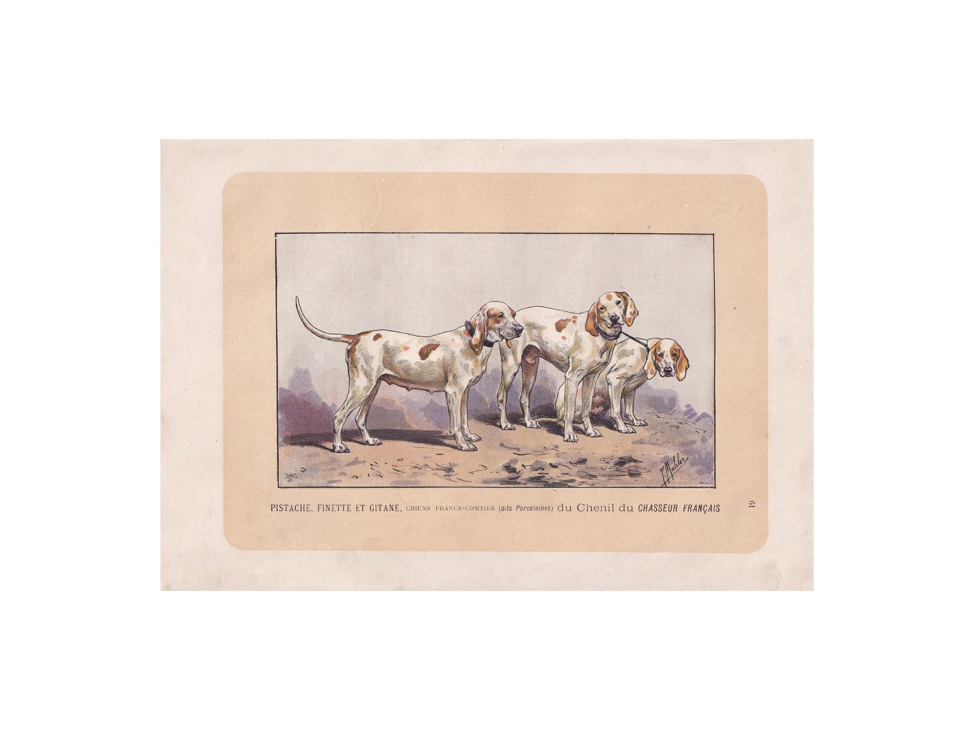 1896 PORCELAINE HOUND DOG Print - Original Antique Hunting Dog Print - Dog Wall Art Gift - Animal Art - Dog Lover - 10 x 7 Inches