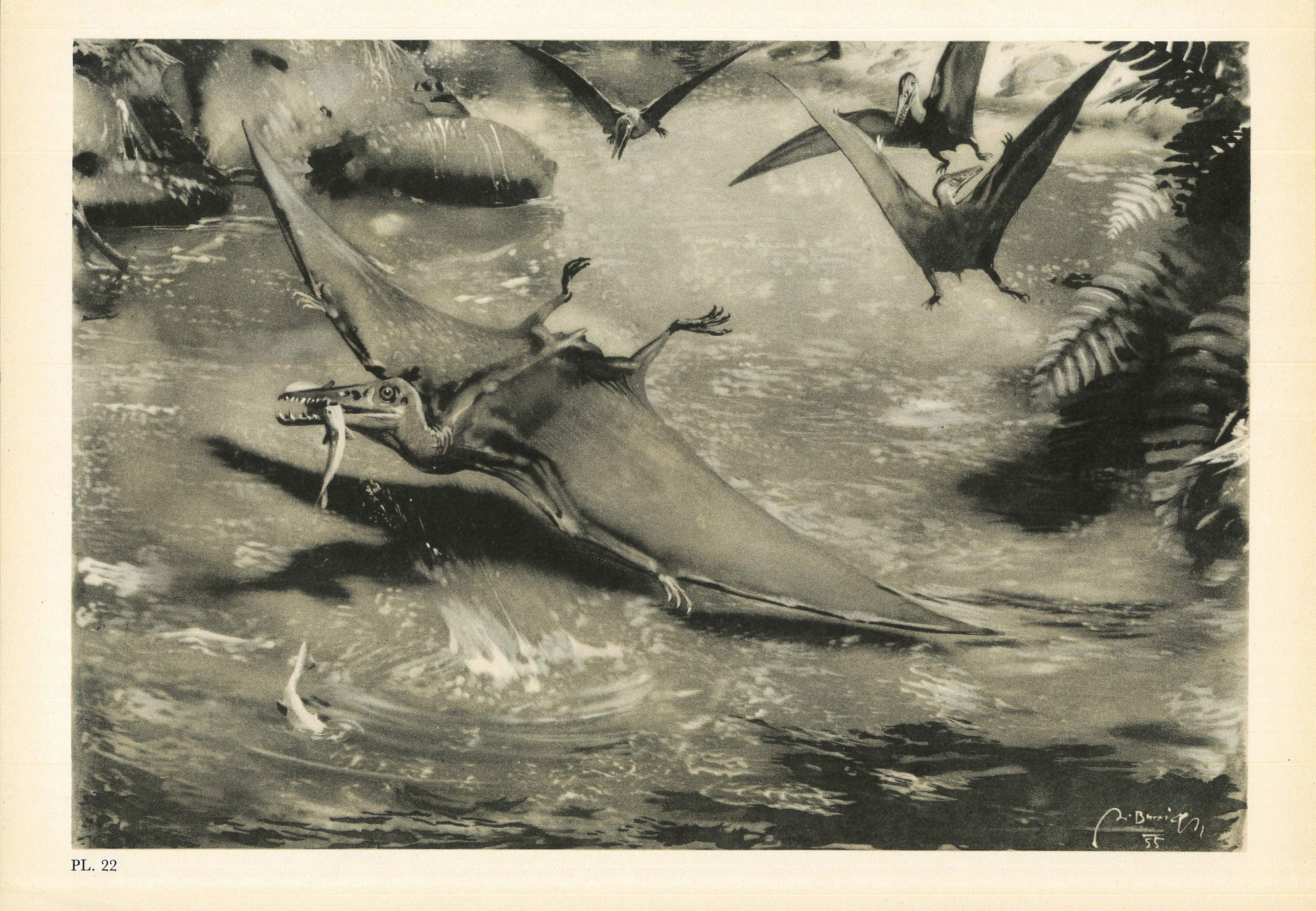 1960 PTERODACTYL Print - Prehistoric Animals Print - Paleoart - Dinosaur Wall Art - Dinosaur Print - 63 Years Old - 13.5 x 9.75 Inches