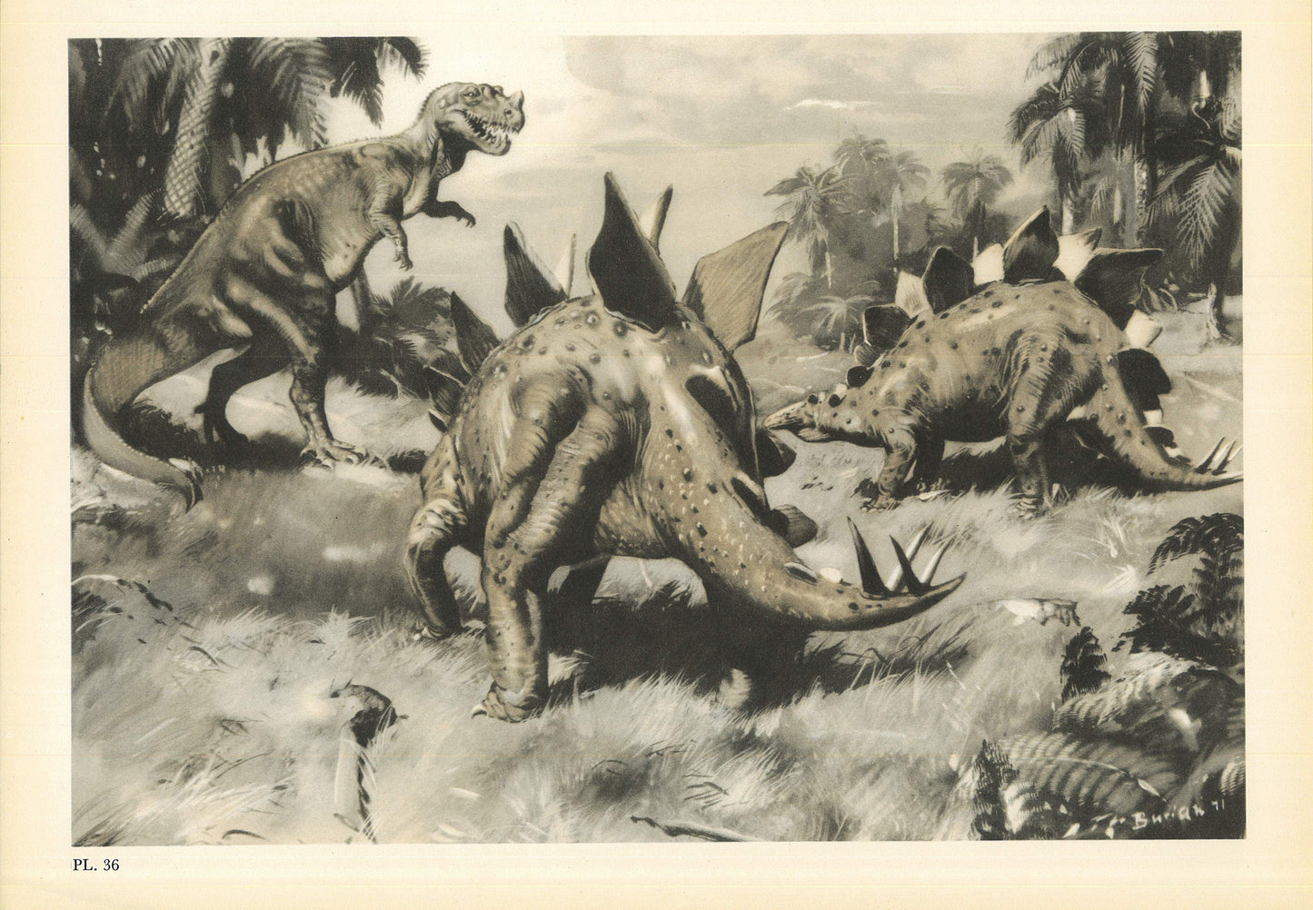 1960 STEGOSAURUS DINOSAUR Print - Prehistoric Animals Print - Paleoart - Dinosaur Decoration - 63 Years Old - 13.5 x 9.75 Inches