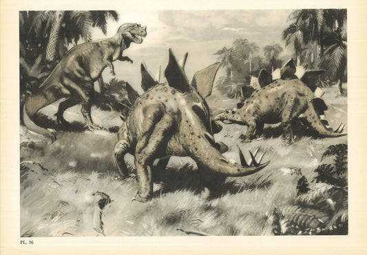 1960 STEGOSAURUS DINOSAUR Print - Prehistoric Animals Print - Paleoart - Dinosaur Decoration - 63 Years Old - 13.5 x 9.75 Inches