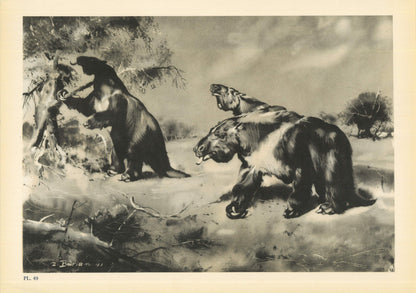 1960 GIANT SLOTH (MEGATHERIUM) Print - Prehistoric Animals Print - Paleoart - Cave Man Art - 63 Years Old - 13.5 x 9.75 Inches