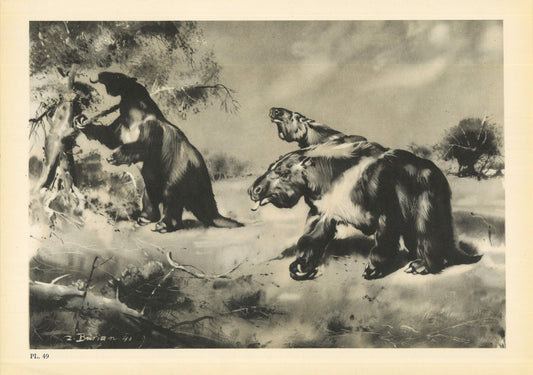 1960 GIANT SLOTH (MEGATHERIUM) Print - Prehistoric Animals Print - Paleoart - Cave Man Art - 63 Years Old - 13.5 x 9.75 Inches