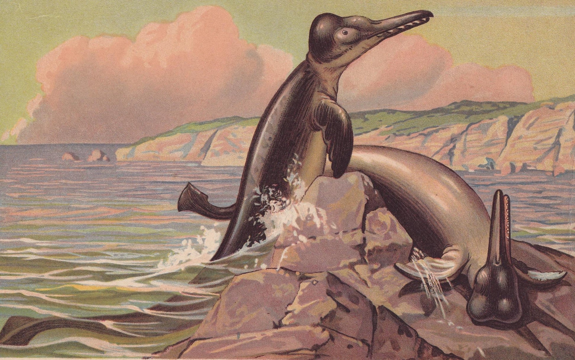 1902 BASILOSAURUS Print - Eocene Whale - Mammal Evolution - Paleoart - Prehistoric Animals Wall Art - Dinosaur - 10.5 x 7.5 I