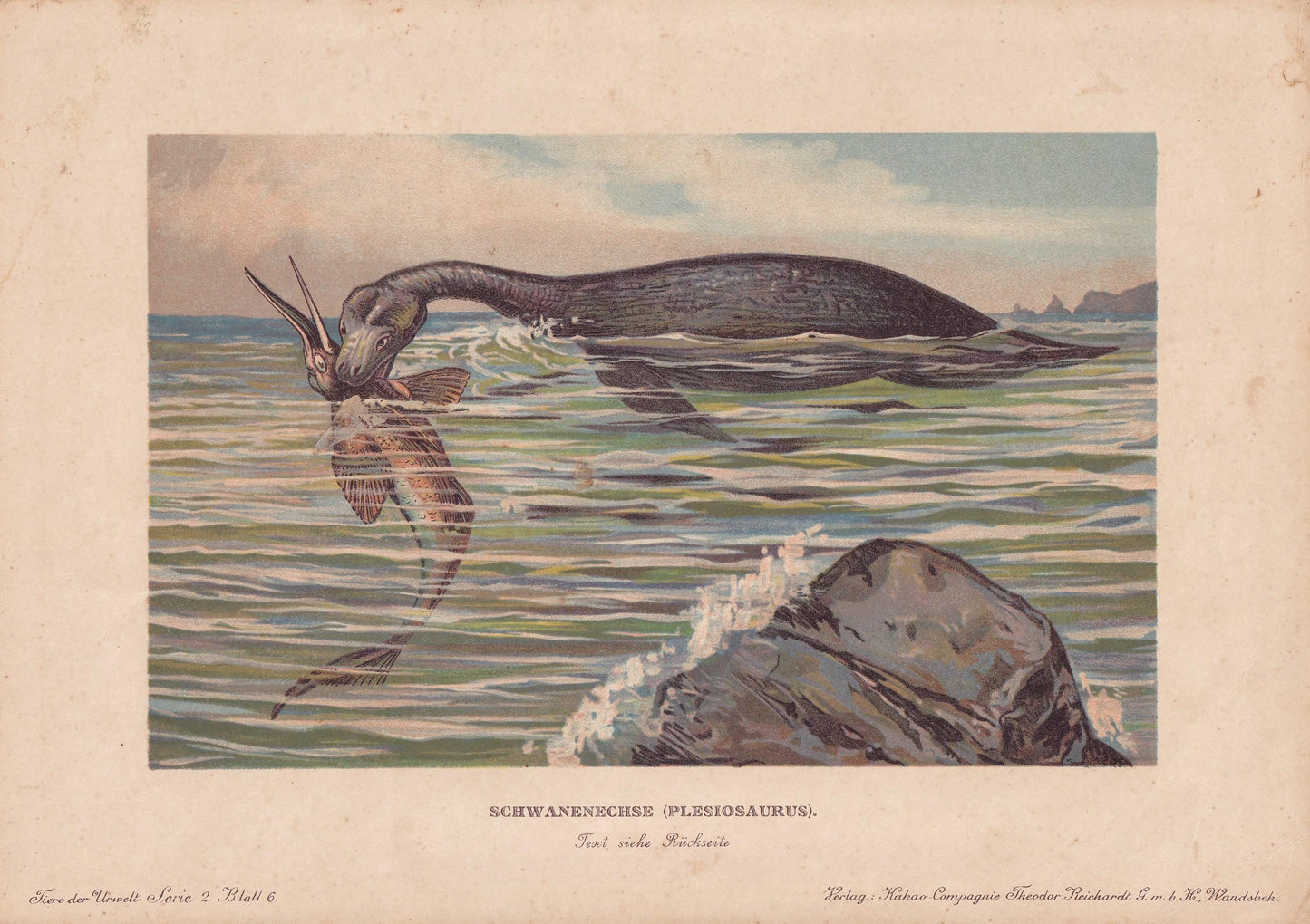 1902 PLESIOSAURUS Print - Jurassic Reptile - Mammal Evolution - Paleoart - Prehistoric Animals Wall Art - Dinosaur - 10.5 x 7