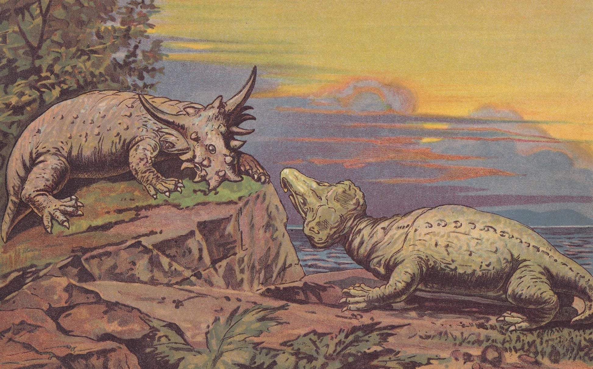 1902 PAREIASAUR & RHYNOCHOSAUR Print - Jurassic - Paleoart - Prehistoric Animals Wall Art - Antique Dinosaur - 10.5 x 7.5 Inc