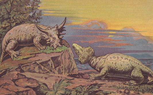 1902 PAREIASAUR & RHYNOCHOSAUR Print - Jurassic - Paleoart - Prehistoric Animals Wall Art - Antique Dinosaur - 10.5 x 7.5 Inc