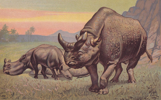 1902 MEGACEROPS Print - Antique Animal Decor - Paleoart - Prehistoric Animals Wall Art - Extinct Eocene Rhino - 10.5 x 7.5 In