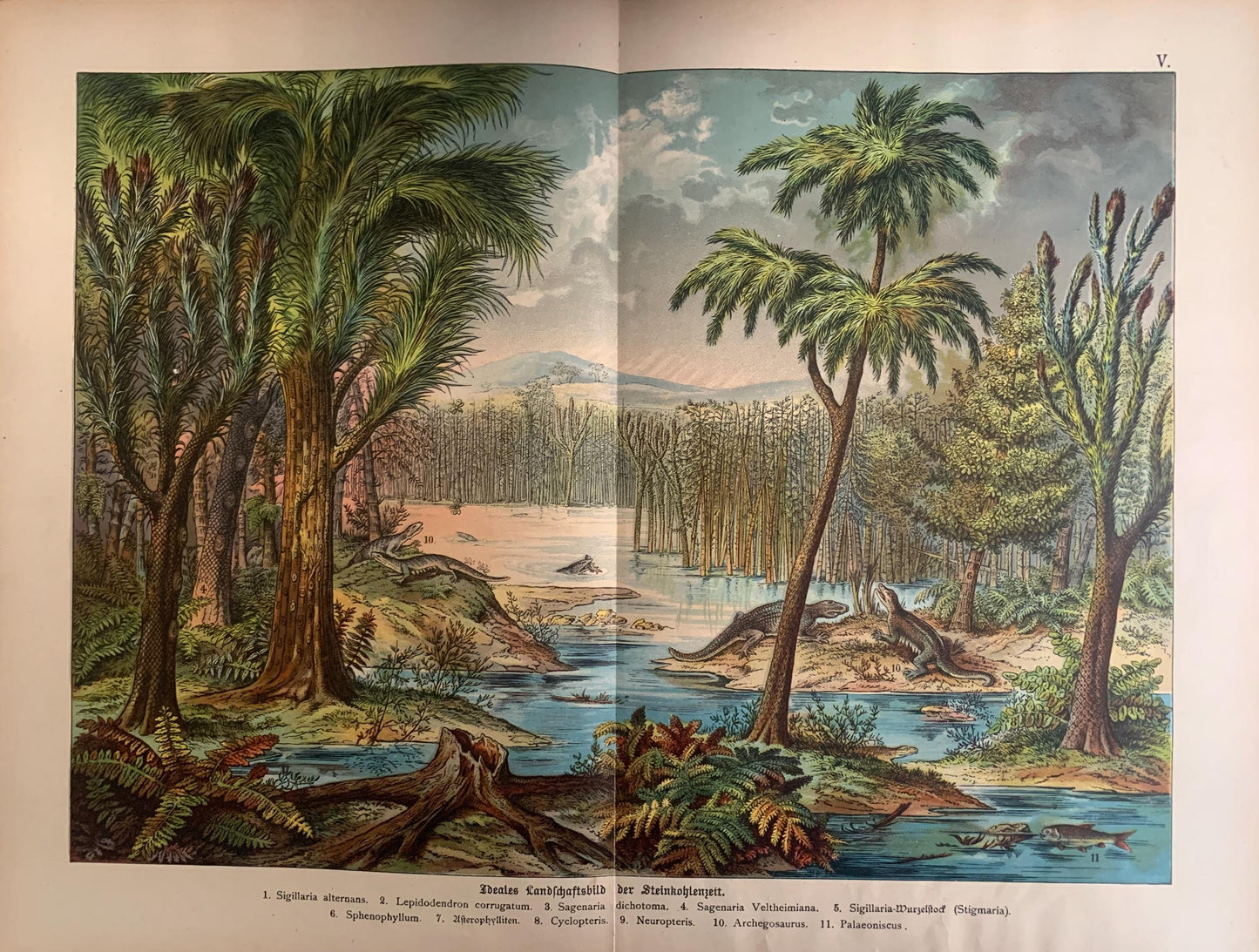 1878 DINOSAUR Print - Carboniferous Period - Antique Paleoart - Dinosaur Wall Art - Coal - Prehistoric Animal Print - 16.5 x 12.5 Inches