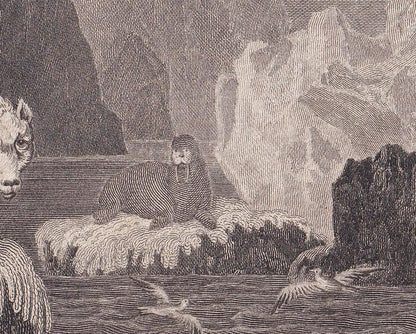 Rare! 1805 POLAR BEAR, SEAL, & Walrus Print - Original Antique Hand-Coloured Copper Engraving - Arctic Wall Art Decor - 7.9 x