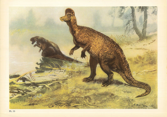 1960 CORYTHOSAURUS DINOSAUR Print - Prehistoric Animals Print - Paleoart - Dinosaur Decoration - 63 Years Old - 13.5 x 9.75 Inches