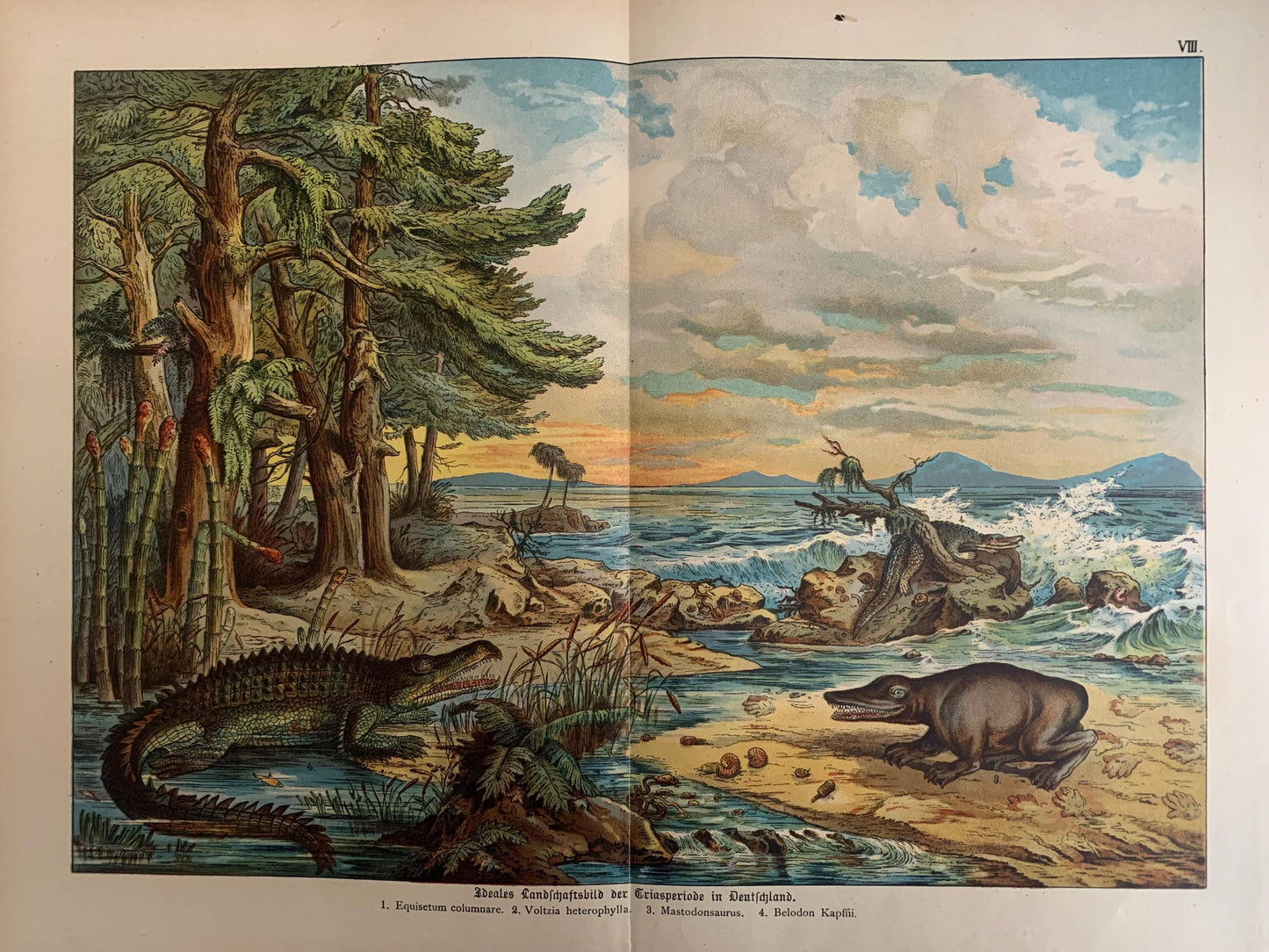 1878 DINOSAUR Print - Triassic Period - Antique Paleoart - Dinosaur Wall Art - Phytosaur, Mastodonsaurus - 16.5 x 12.5 Inches