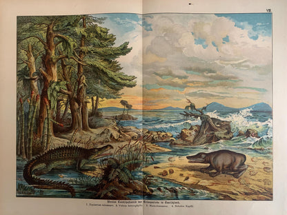 1878 DINOSAUR Print - Triassic Period - Antique Paleoart - Dinosaur Wall Art - Phytosaur, Mastodonsaurus - 16.5 x 12.5 Inches